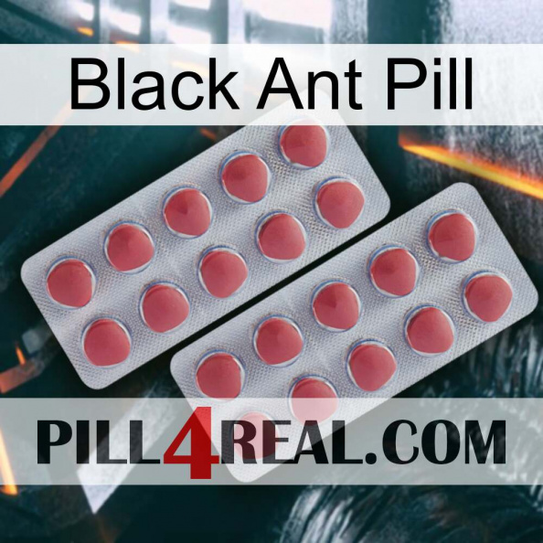 Black Ant Pill 19.jpg